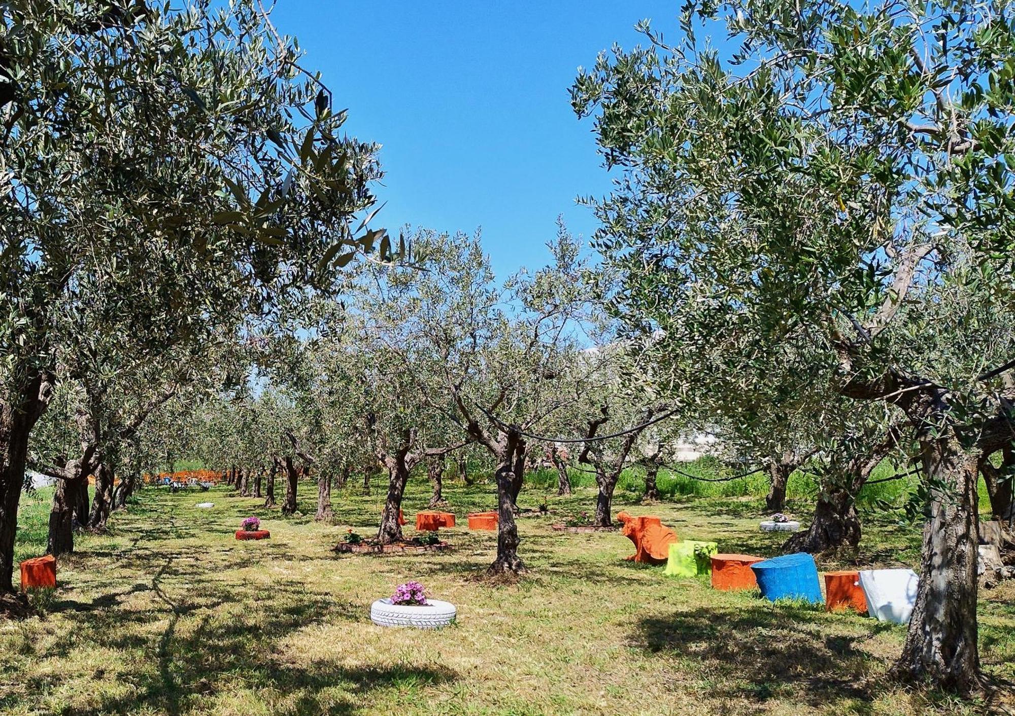 Colline Del Sole Bed & Breakfast San Salvo